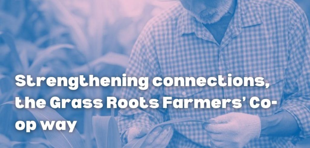 Strengthening connections, the Grass Roots Farmers’ Co-op way