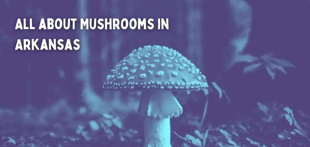 All about Mushrooms in Arkansas