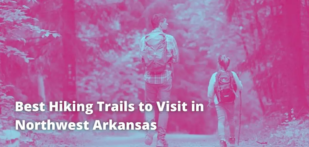 Best Hiking Trails to Visit in Northwest Arkansas