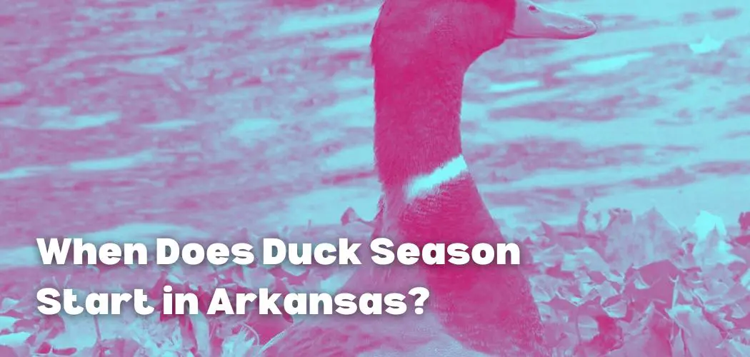 When Does Duck Season Start in Arkansas?