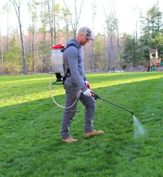 Here's Best Time to Plant Grass Seeds in Arkansas!