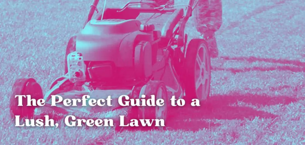 The Perfect Guide to a Lush, Green Lawn