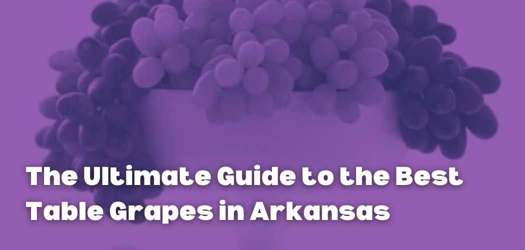 The Ultimate Guide to the Best Table Grapes in Arkansas